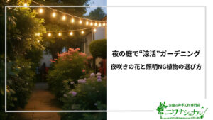 アイキャッチ_夜の庭で“涼活”