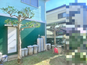 剪定の作業写真