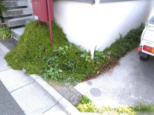 剪定・消毒・除草・土回収・防草シート・砂利敷き