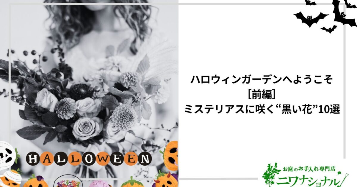 アイキャッチ_ハロウィンガーデンへようこそ（前編）