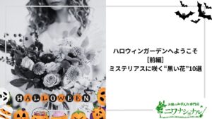 アイキャッチ_ハロウィンガーデンへようこそ（前編）