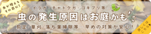 虫の発生原因はお庭かもバナー