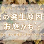 虫の発生原因はお庭かも　アイキャッチ