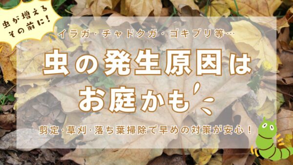 虫の発生原因はお庭かも　アイキャッチ