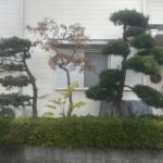 剪定、刈り込み、草刈りの作業写真