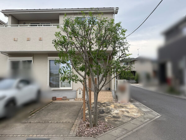 剪定・抜根・植樹の作業写真