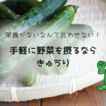 栄養がないなんて言わせない！手軽に野菜を摂るならきゅうり