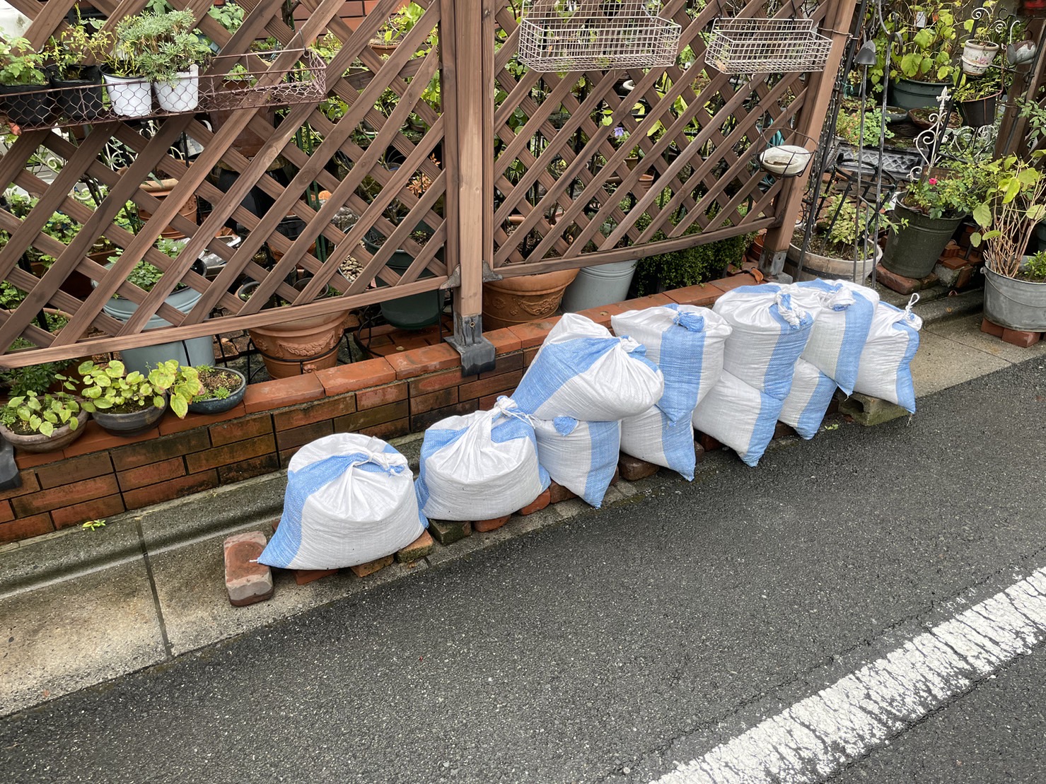 庭のお手入れ専門店 ニワナショナル（埼玉県）