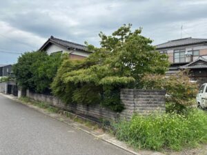 伐採のお写真