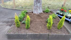 花植え作業写真