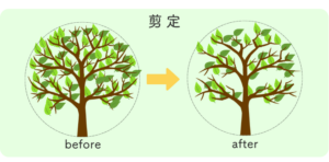剪定のイラスト