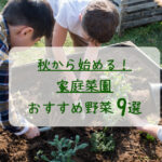 秋から始める家庭菜園！初心者におすすめ野菜9選