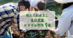 秋から始める家庭菜園！初心者におすすめ野菜9選