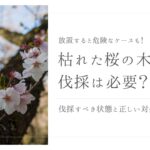 枯れた桜の木の伐採　アイキャッチ