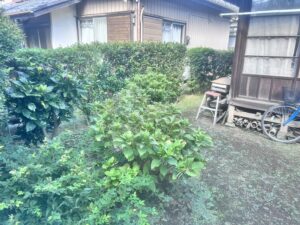 剪定の作業写真