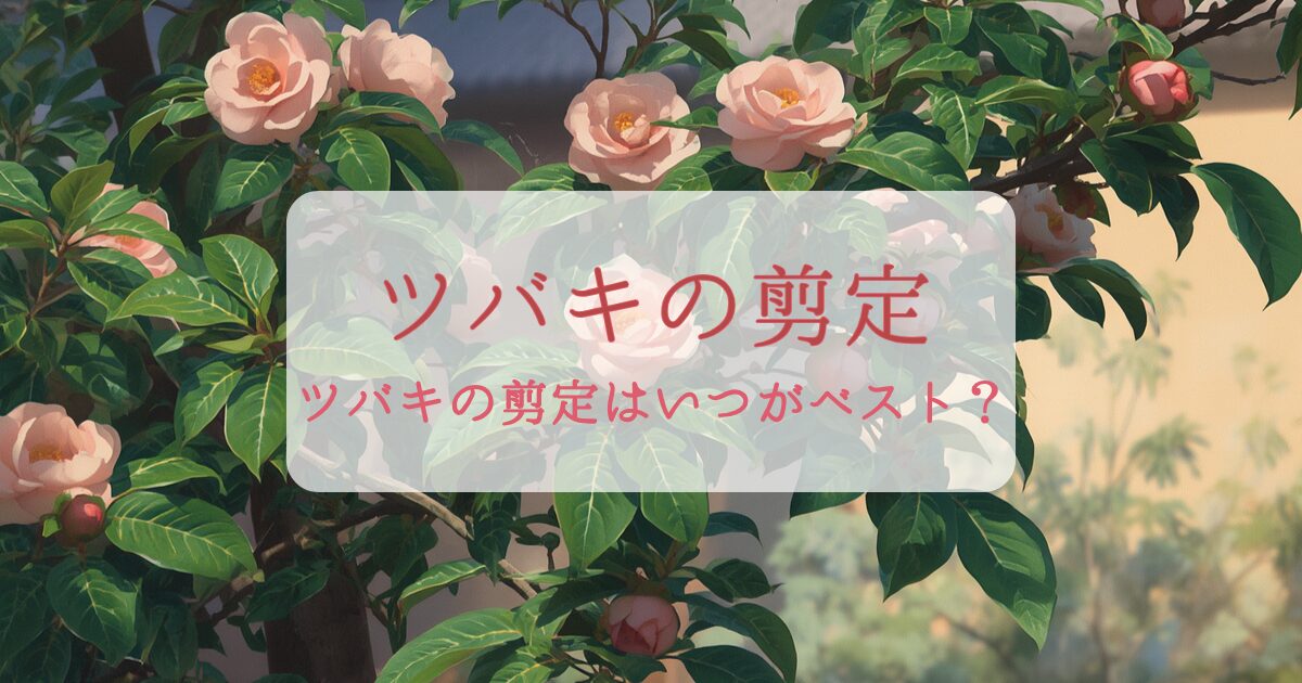 ツバキの剪定