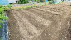 畑の整理の作業写真