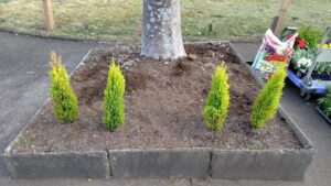 花植え作業写真