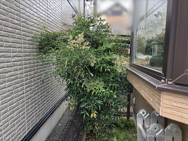 伐採・剪定・刈込の作業写真