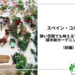 アイキャッチ_コルドバの植木鉢ガーデニング(前編)