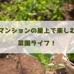 マンションの屋上で楽しむ菜園ライフ！