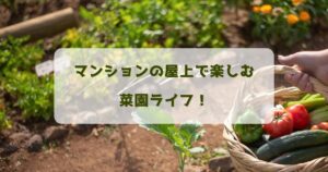 マンションの屋上で楽しむ菜園ライフ！