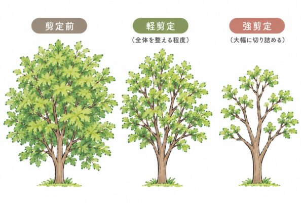 剪定の種類