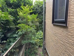 伐採・剪定・刈込の作業写真