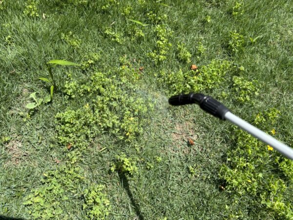 芝生除草剤散布