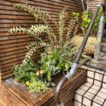 抜根,花植え,植樹の作業写真