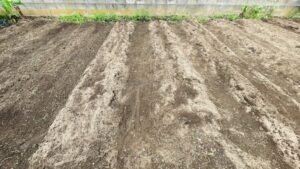 畑の整理の作業写真