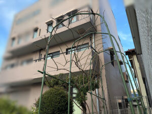 バラの剪定・誘引・ツタ取りの作業写真
