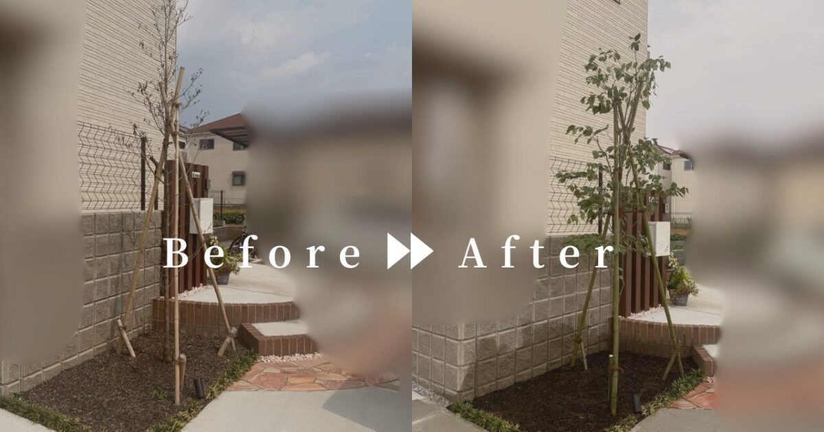 作業前後の写真