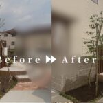 作業前後の写真