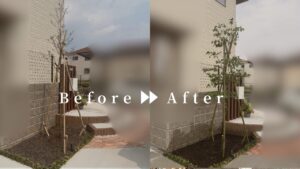 作業前後の写真