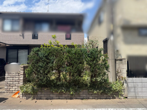 伐採・剪定の作業写真