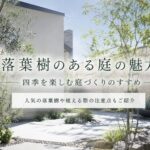 落葉樹のある庭の魅力｜四季を楽しめる庭づくりのポイントのアイキャッチ