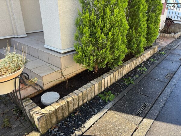 バラの植え替えの作業写真