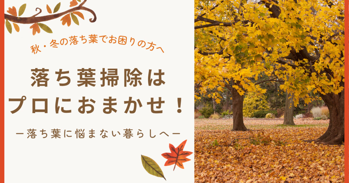 落ち葉掃除サービス　アイキャッチ