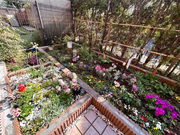 花植え、植樹、バラの誘引の作業事例写真