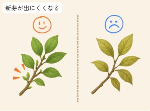 新芽が出ている木と出ていない木の対比イラスト