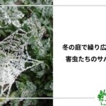 アイキャッチ_害虫の越冬サバイバル