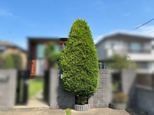 刈込・芝刈りの作業写真