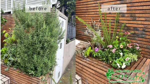 抜根,花植え,植樹アイキャッチ