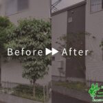 剪定の作業事例　アイキャッチ