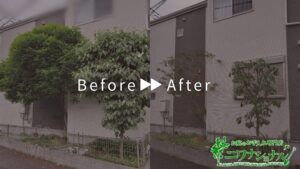 剪定の作業事例　アイキャッチ