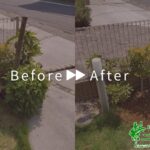 抜根の作業事例　アイキャッチ