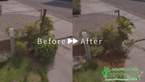 抜根の作業事例　アイキャッチ