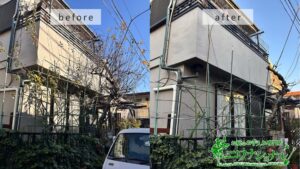バラの剪定・誘引、りんご・ブドウの木の剪定の作業事例　アイキャッチ