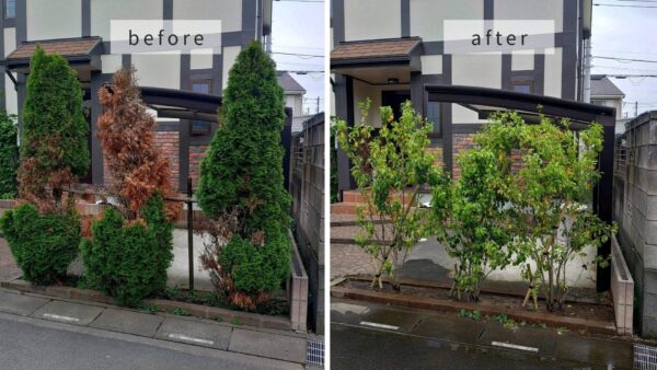 抜根、植樹、支柱の作業写真　アイキャッチ